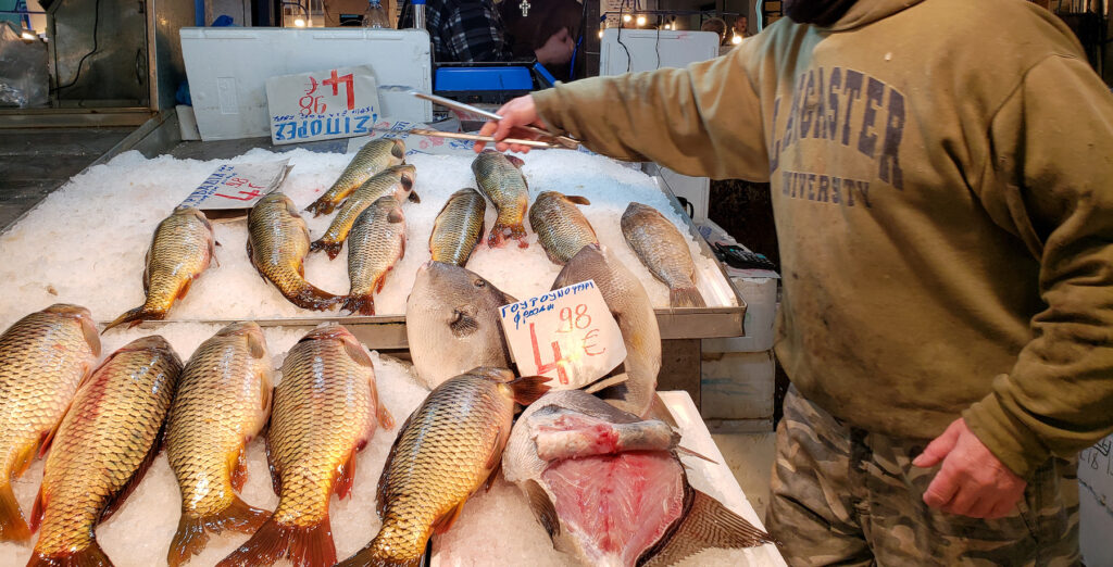 A person standing next to fish on display.