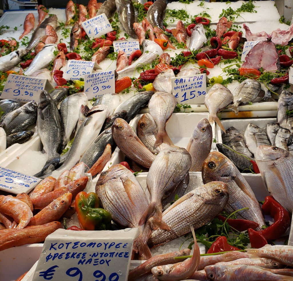 A bunch of fish on display at the market