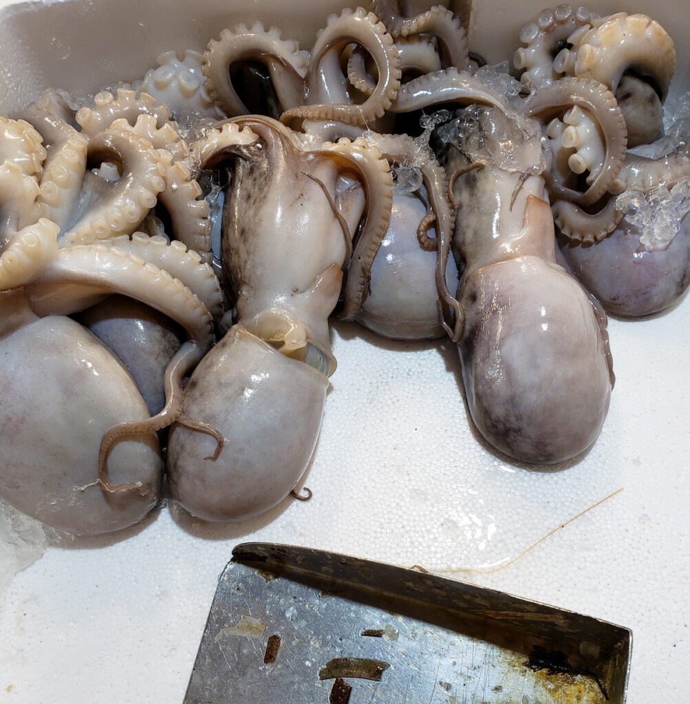 A bunch of octopus that are sitting in the water.