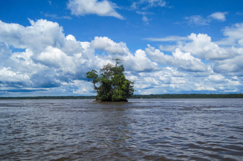 A small island in the middle of a lake.