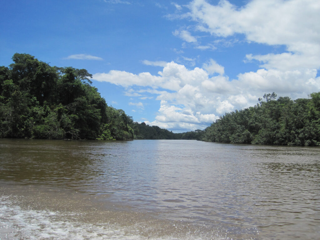 A river with trees and clouds in the sky.