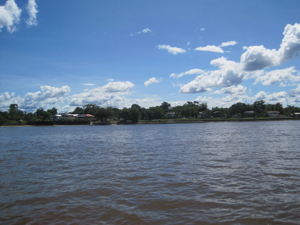 A body of water with trees in the background