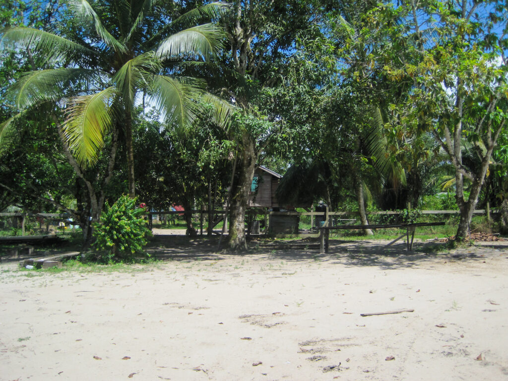 A beach with some trees and benches in the sand