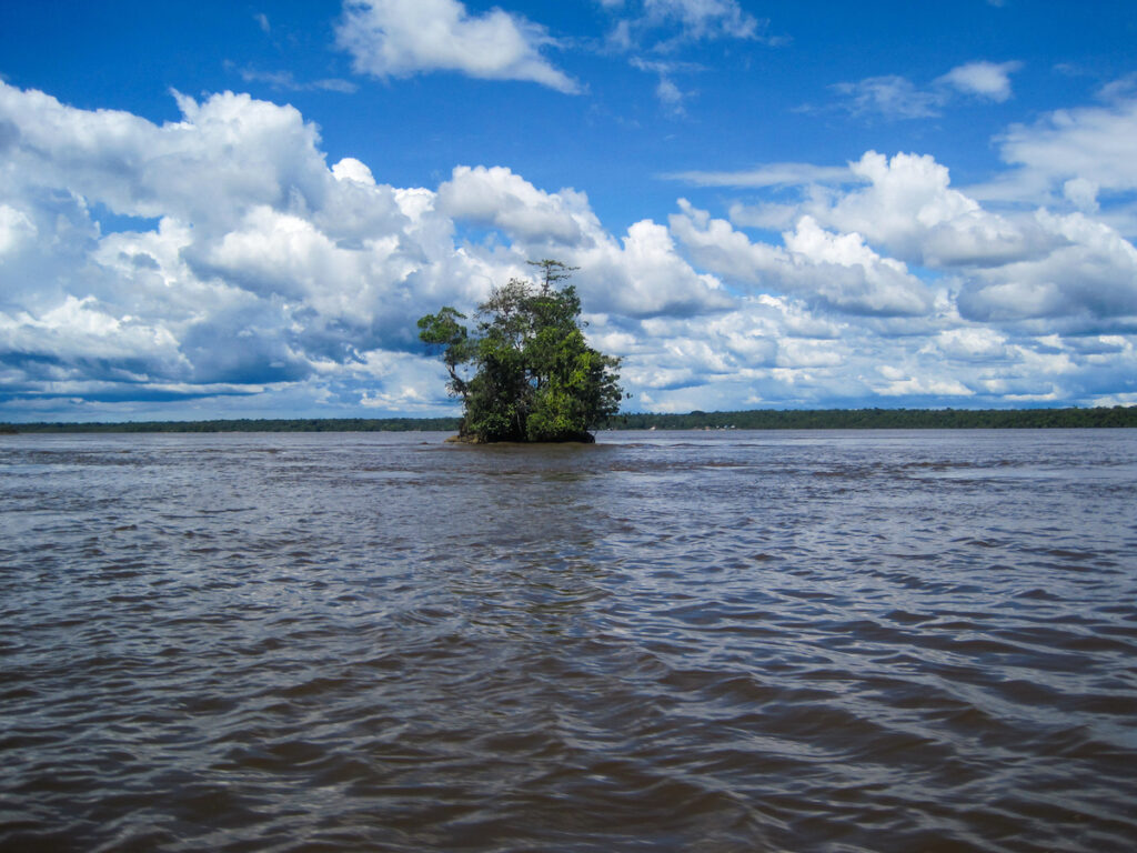 A body of water with trees in the background