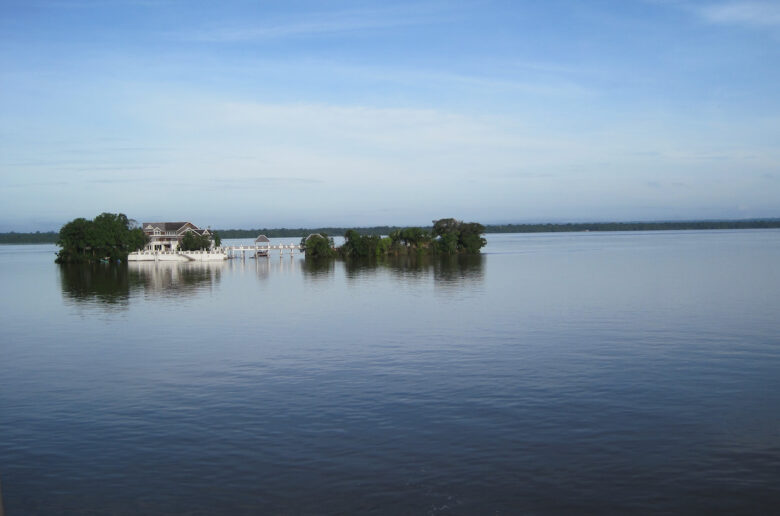 A body of water with trees in the background in Bartica