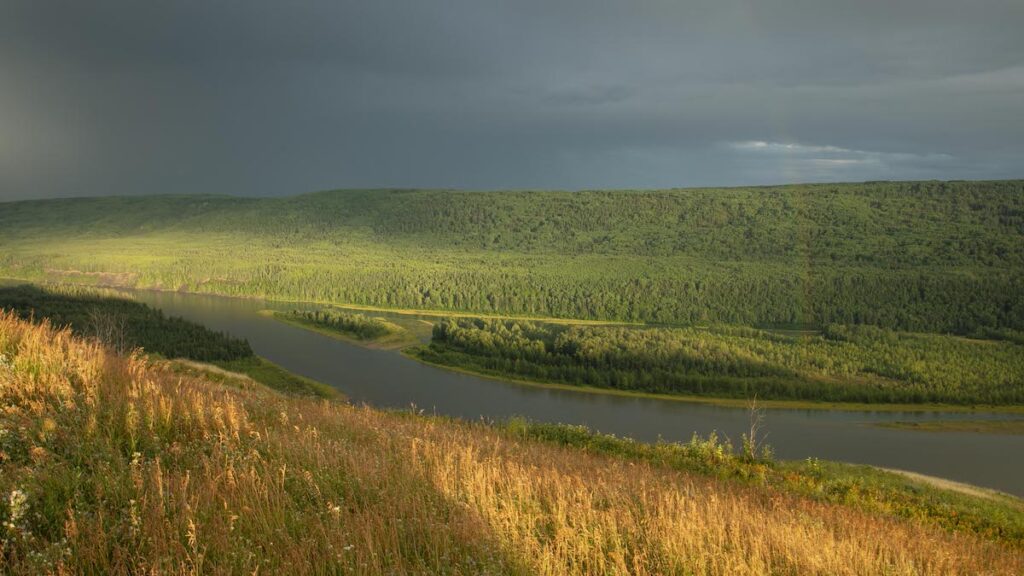 A river running through the middle of a green field by Byron Dueck