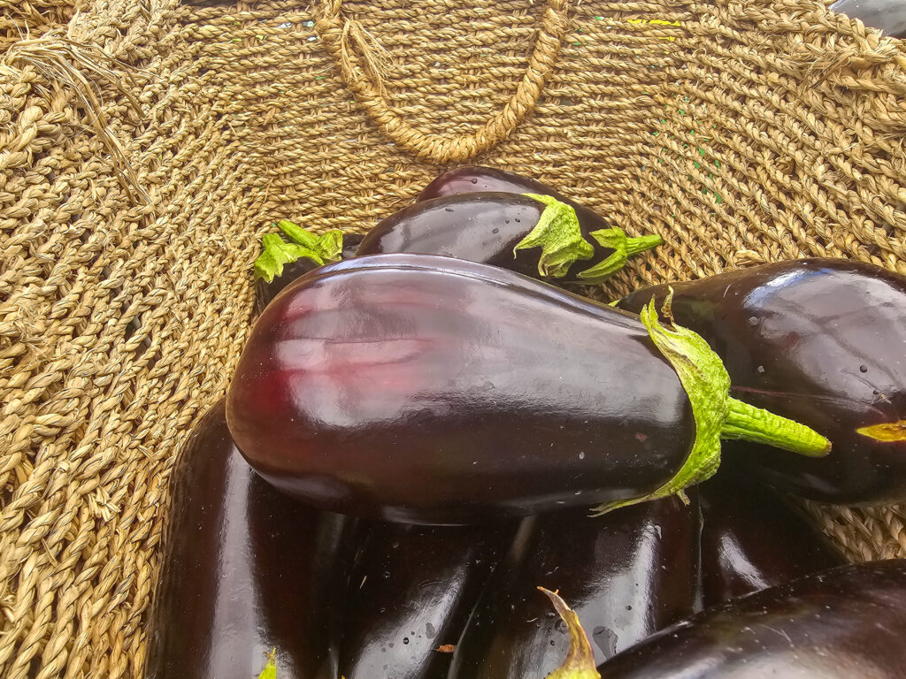 A basket of eggplant with some green leaves.