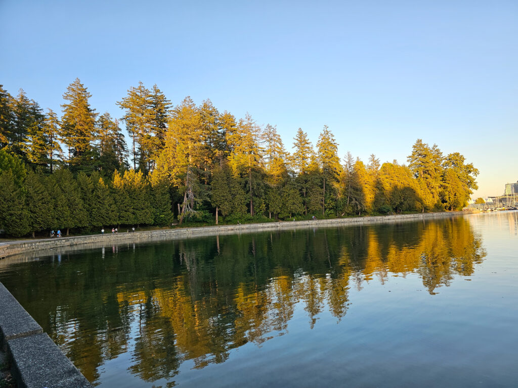 A body of water with trees in the background