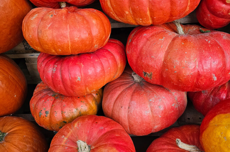 bright orange pumpkins