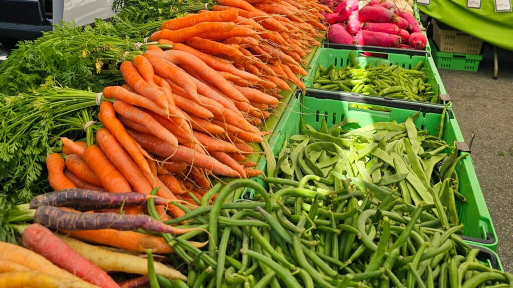 The measure of a country is how well it feeds its people nourishing food.