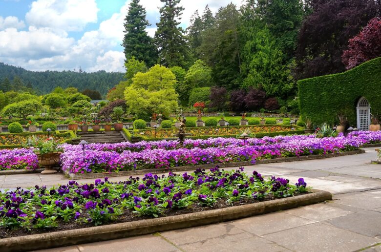 British Columbia Formal botanical garden with purple and pink flower beds, trimmed hedges, and a stone walkway under a blue sky.