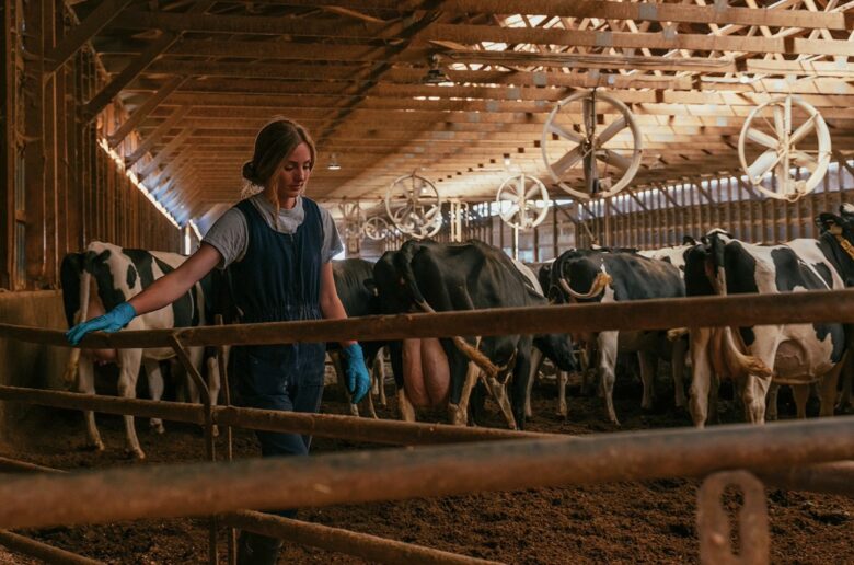 young female dairy farmer and cows in the backgorund